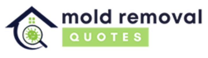 mold removal brandon